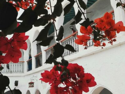 Fondouk Tunisie 1